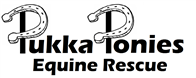 Inkjet Recycling for Pukka Ponies Equine Rescue - C54380